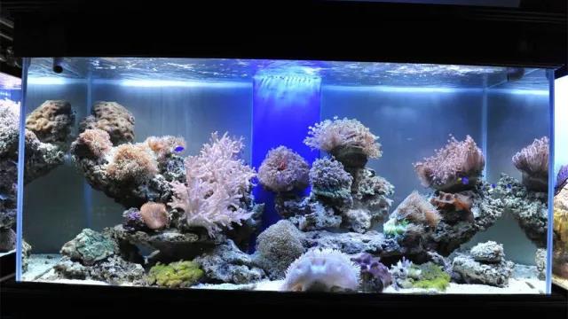 家中旺位和衰位在哪里？三分鐘學(xué)習(xí)室內(nèi)風水學(xué)