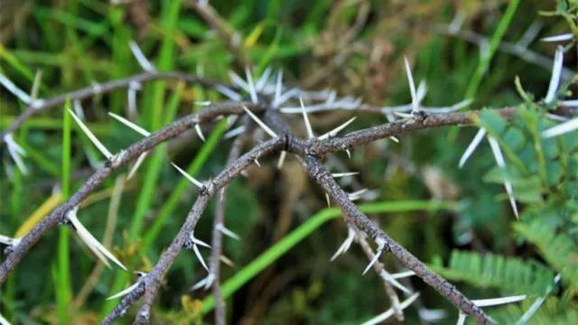 家中旺位和衰位在哪里？三分鐘學(xué)習(xí)室內(nèi)風水學(xué)