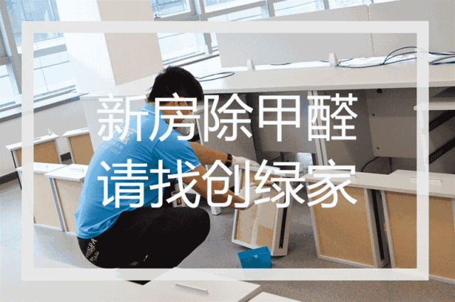 誰說***是多么寂寞，創(chuàng)綠家?guī)惺芟略?00強企業(yè)工作是怎樣的體驗！