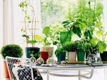 裝修6個月后的甲醛污染最嚴重，聞不到不代表沒污染