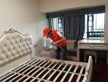 室內(nèi)除甲醛怎樣提高質(zhì)量？