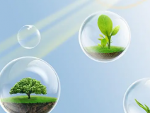 這些甲醛的危害你知道嗎？