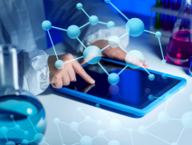 治理甲醛總共分幾步？