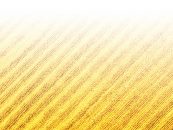 智能農(nóng)機、“訂單”服務、“云端”種菜——來自江西的春耕“新事”